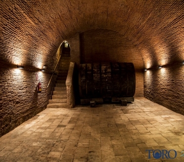 bodegas_toro_visitables (11)_tn