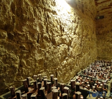 Bodegas