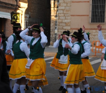 carnaval_toro (23)_tn