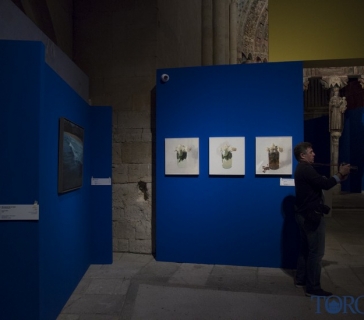 edades_2016 (2)_tn