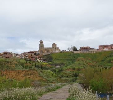 panorámicas_colegiata (7)