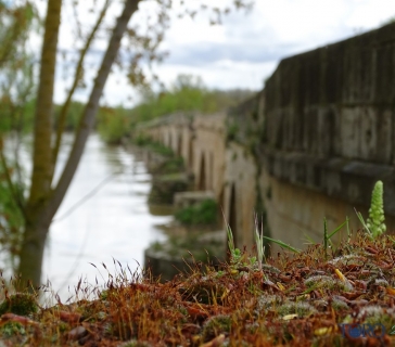El Rio Duero