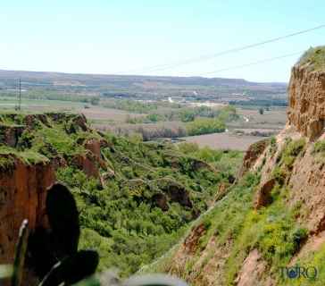 mirador de la magdalena (3)