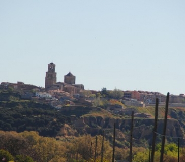 panoramicas (3)_tn