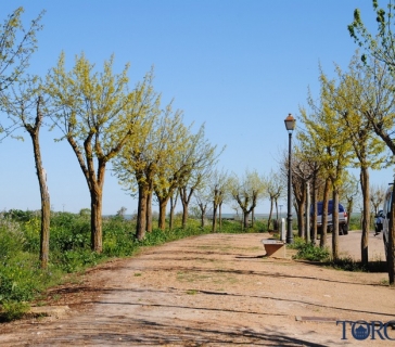 paseo del canto (2)_tn