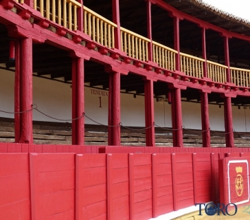 plaza_de_toros_toro (2)_tn
