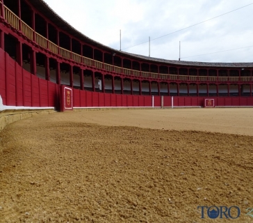 plaza_de_toros_toro_tn