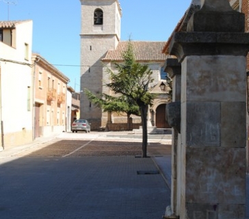 tagarabuena (10)_tn