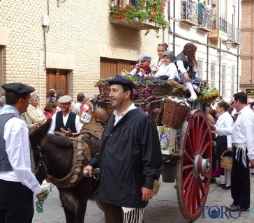DSC03019_tn