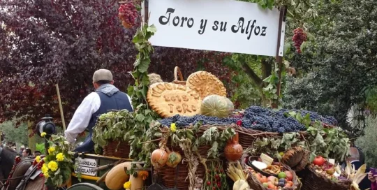Fiesta de la Vendimia en Toro