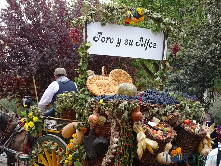Fiesta de la Vendimia en Toro