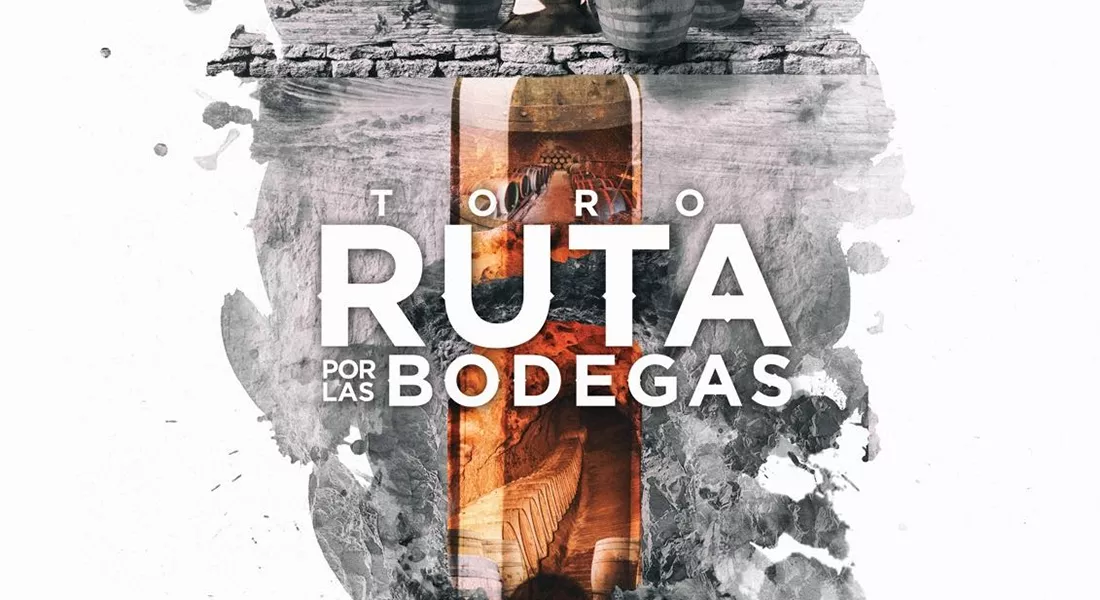 Ruta por las bodegas históricas de Toro