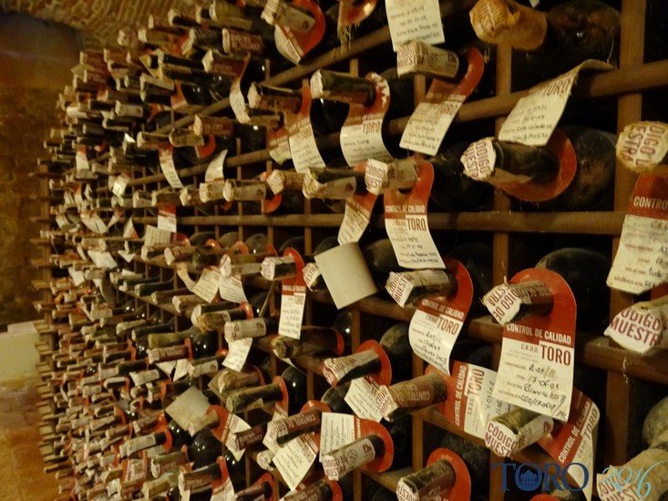 Asamblea general de ACEVIN y Vintoro se celebran este fin de semana