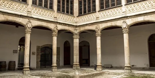 Imagen del patio del consejo regulador de toro