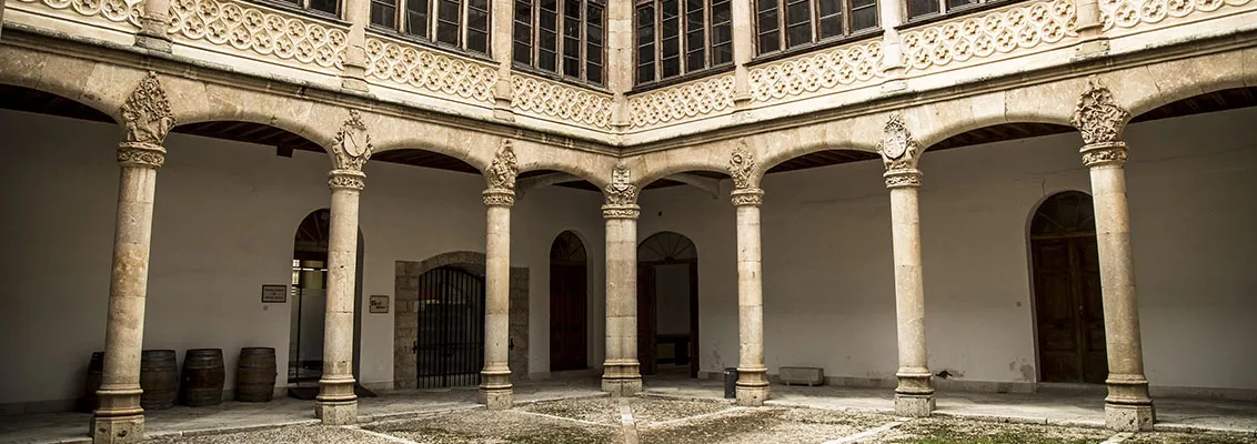 Imagen del patio del consejo regulador de toro