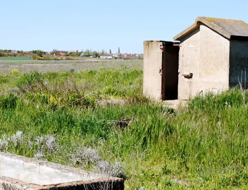 Pozo del Tío Rodrigo