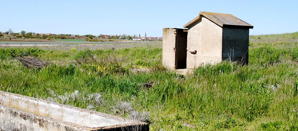 Pozo del Tío Rodrigo