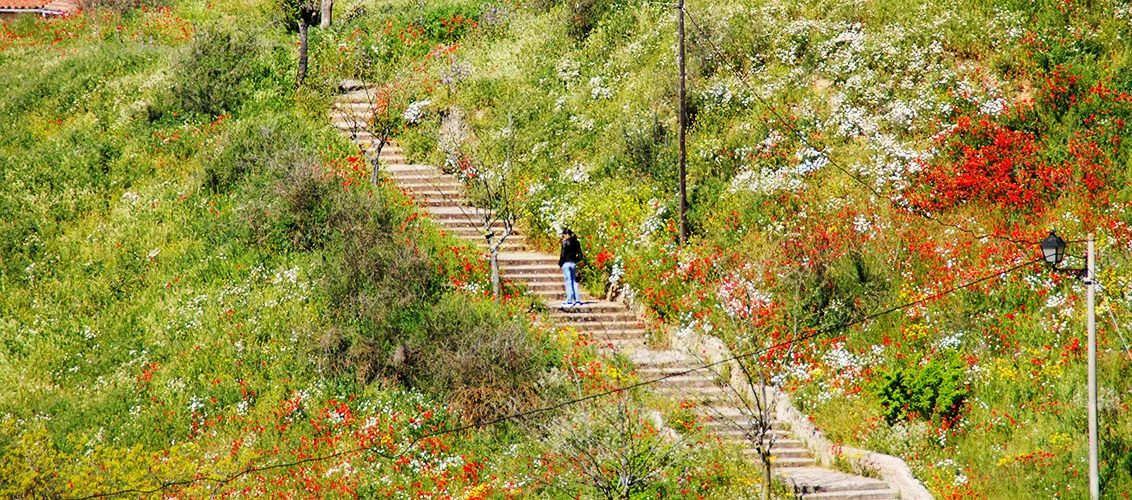 Rutas de Interés en Toro