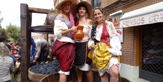 Fiesta de San Agustín